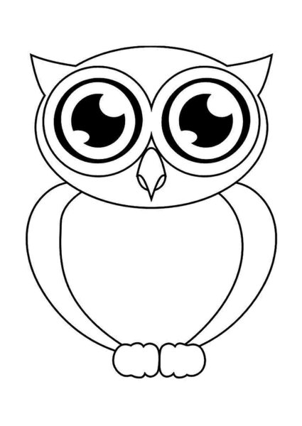 Сова рисунок для детей