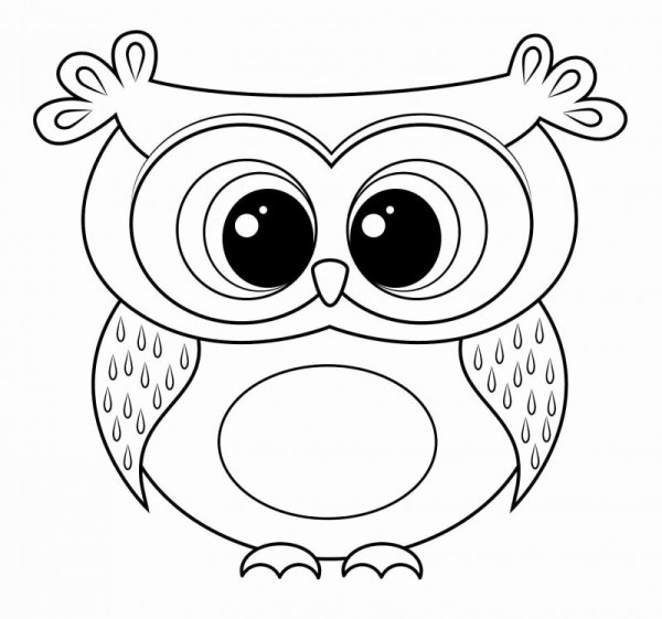 Раскраска Совушка
