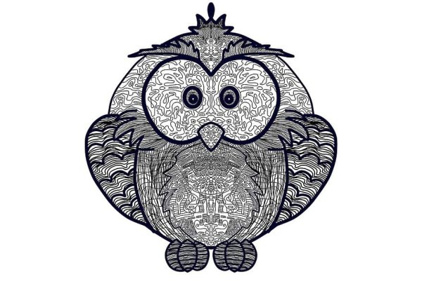 Сова рисунок для срисовки