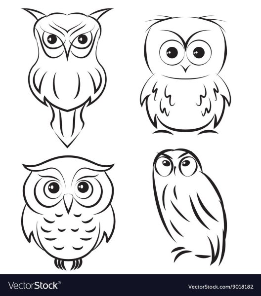 Векторное изображение Совы