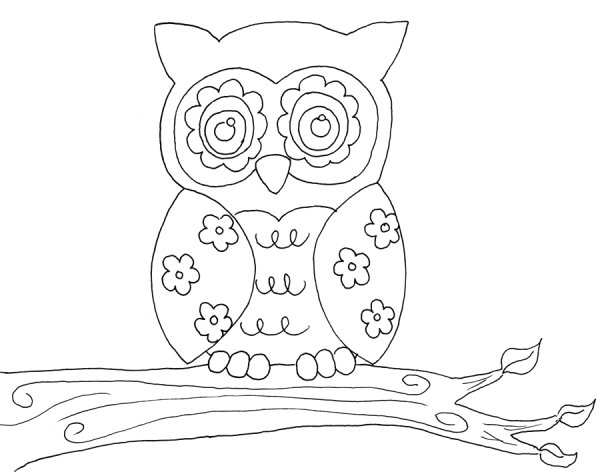 Сова раскраска для детей