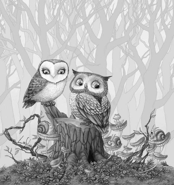 Сова иллюстрация
