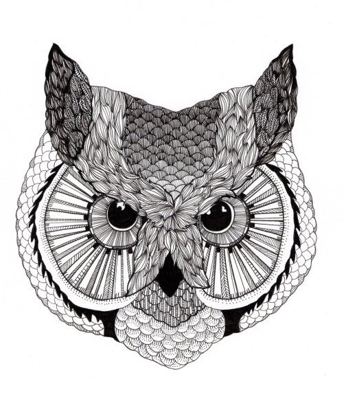 Сова Графика