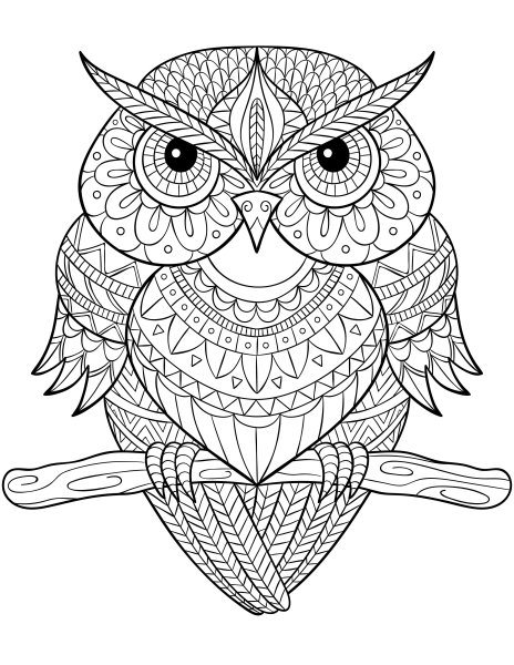 Мандала Сова