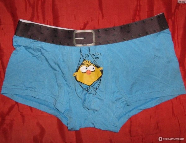 Волк на трусах ожидание реальность