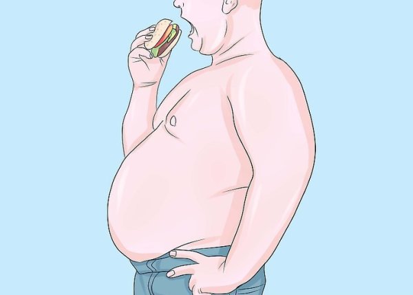 Жирный живот рисунок