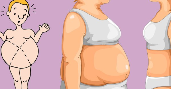 Жирный живот нарисованный