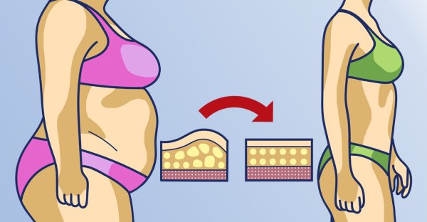 Живот плоский мультяшка