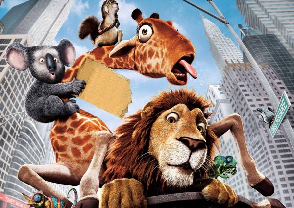 Большое путешествие 2006 коала