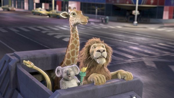 Большое путешествие 2006 коала