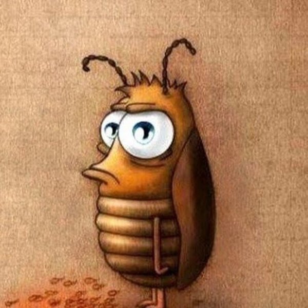 Смешной таракан