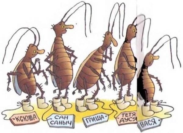 Таракан прикольный