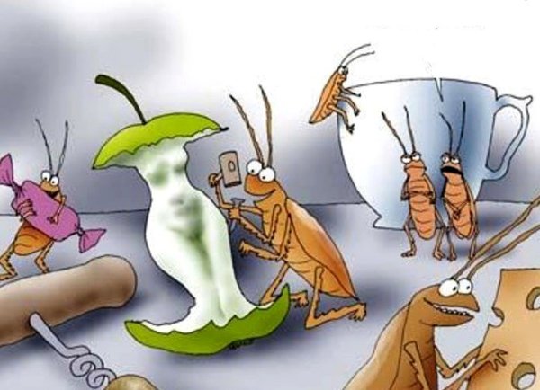 Тараканы в голове