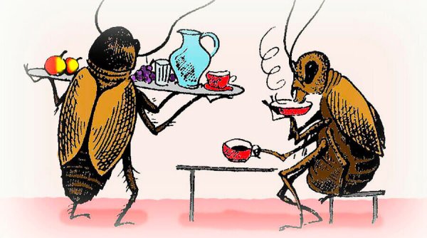 Таракан карикатура