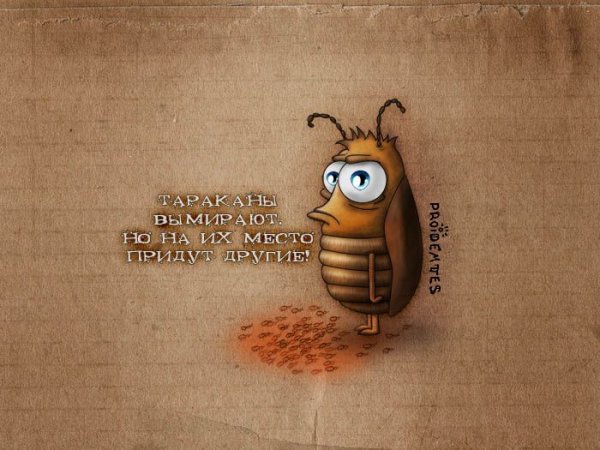 Таракан прикольный