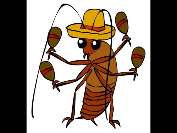 Крутой таракан