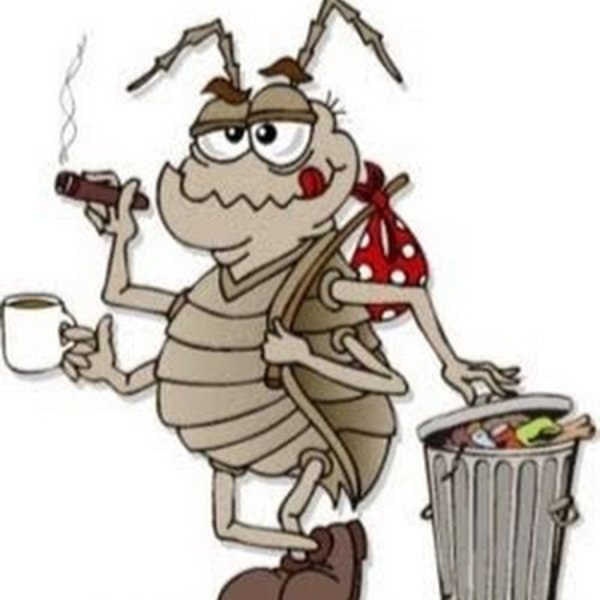 Таракан прикольный