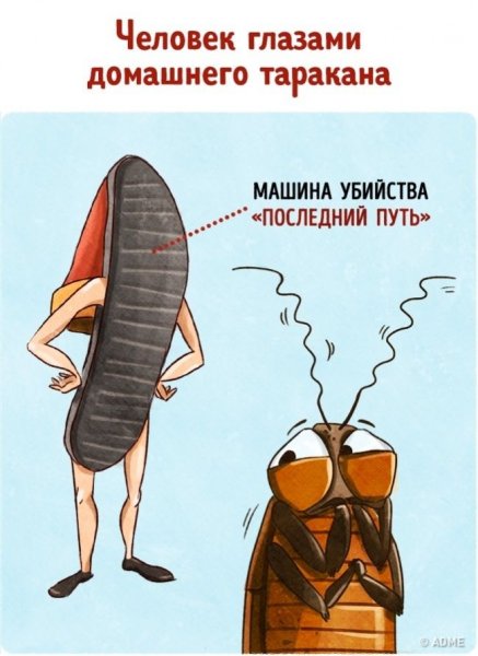 Смешные рисунки тараканов