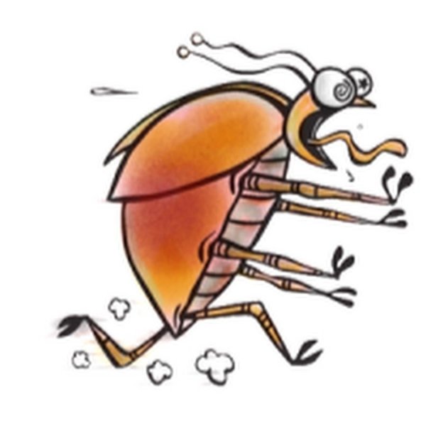 Тараканы бегают