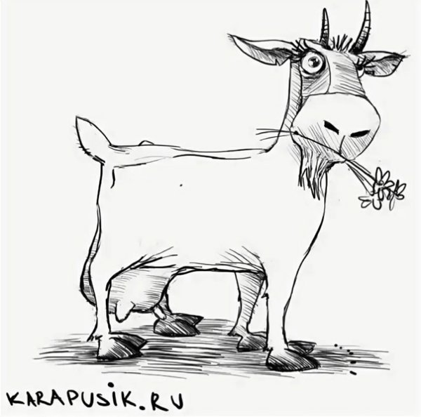 Нарисовать козу