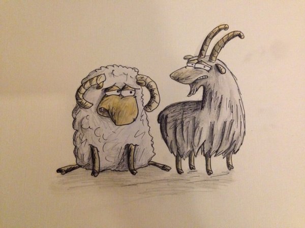 Баран Непомнящий иллюстрации