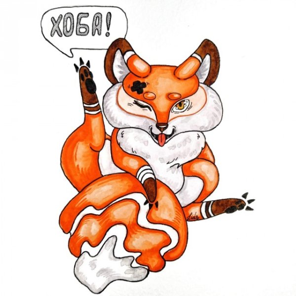 Лиса медитация