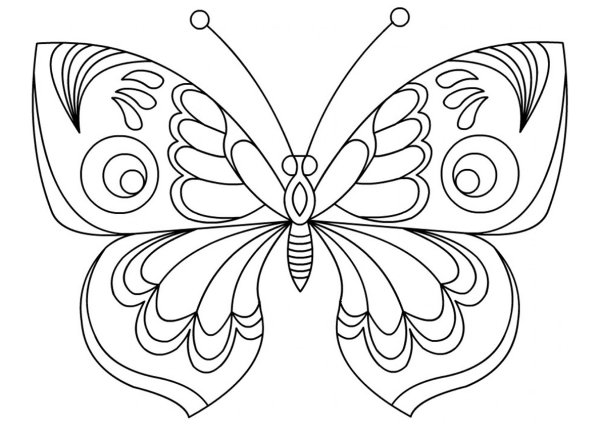 Раскраска "бабочки"