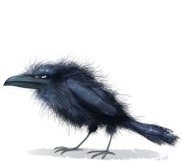 Ворона забавная