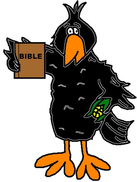 Прикольная ворона