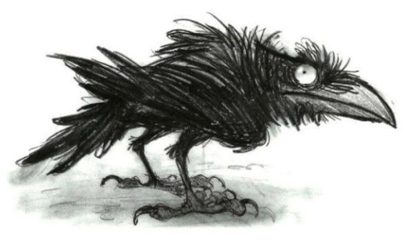 Растрепанная ворона