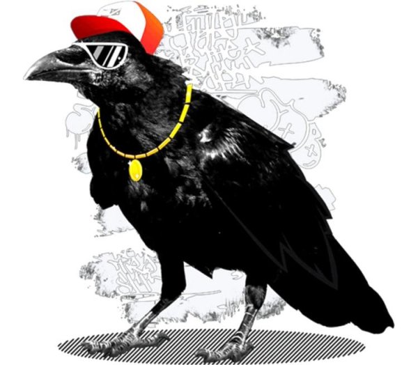 Ворона забавная