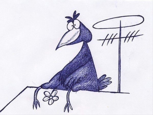 Птица счастья карикатура