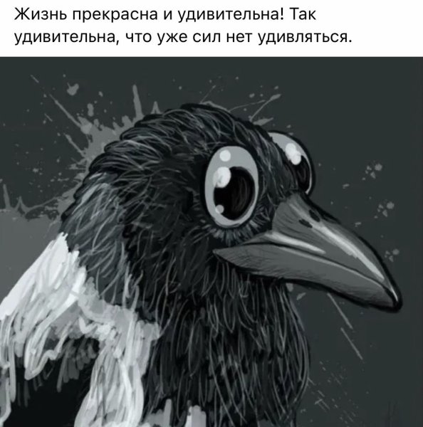 Танцующая ворона