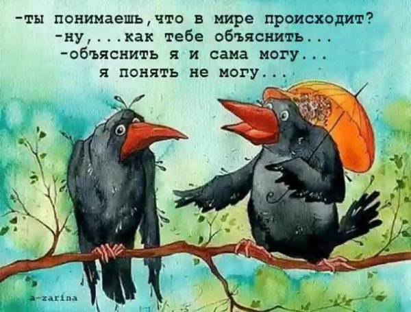 Ворона с днем рождения