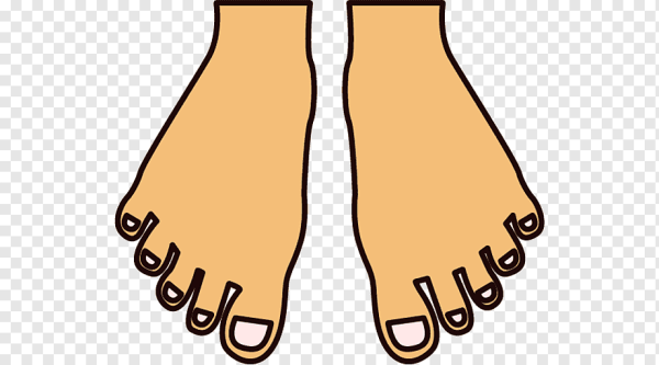 Стопы ног на прозрачном фоне