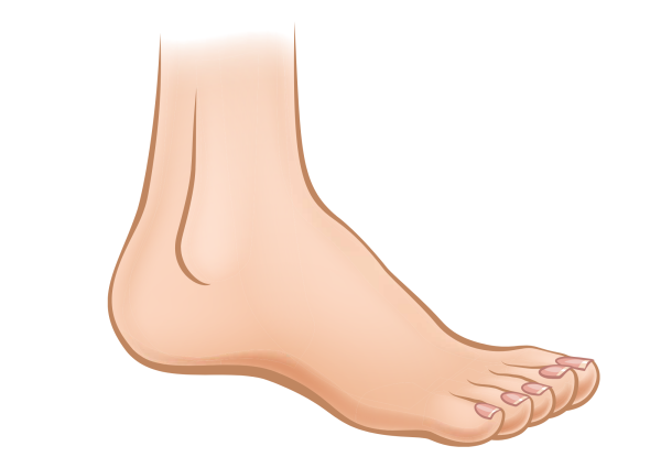 Палец посередине