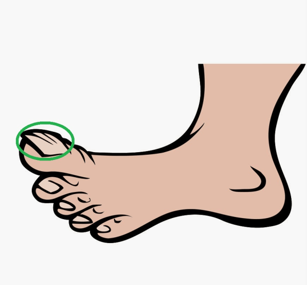 Ступни мультяшный