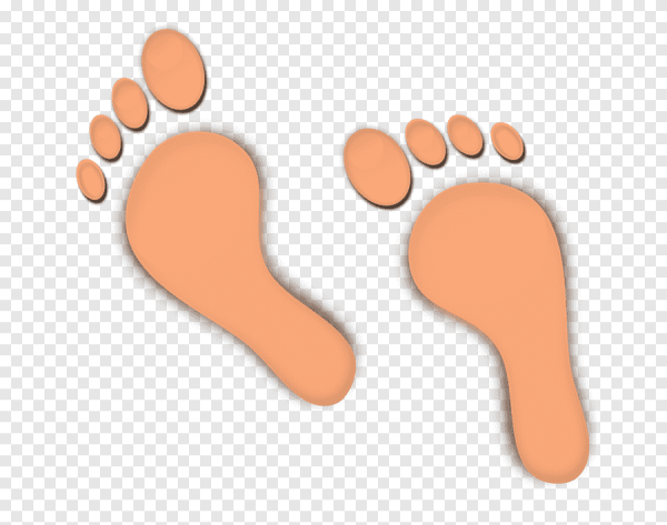 Контур стопы