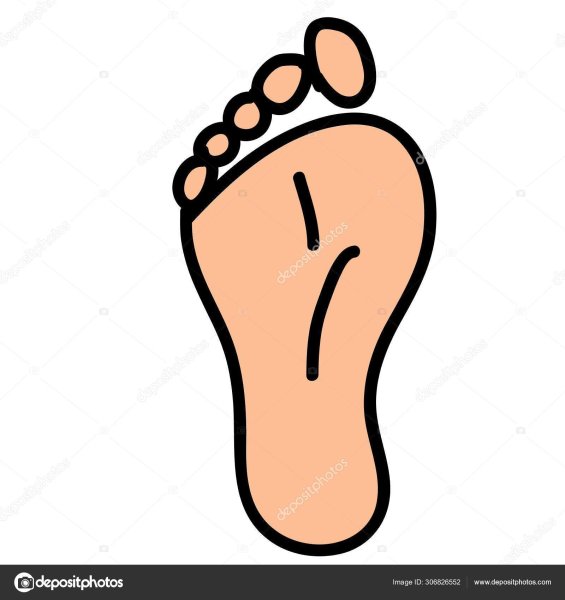 Контур ступни