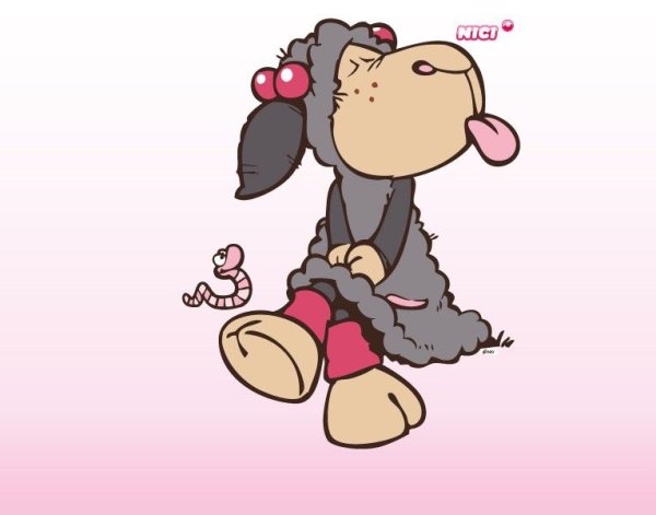 Смешные овечки картинки