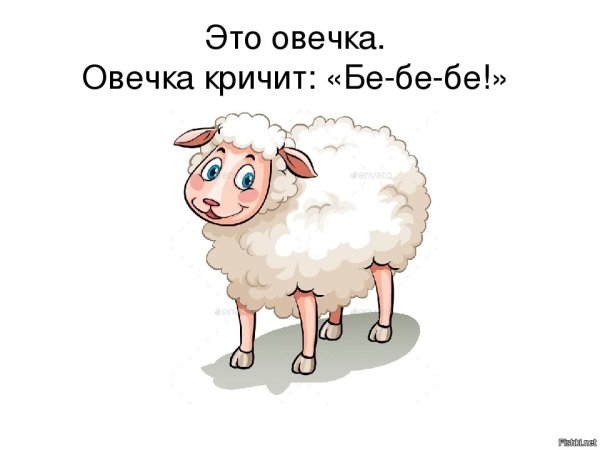 Шутка про овечку