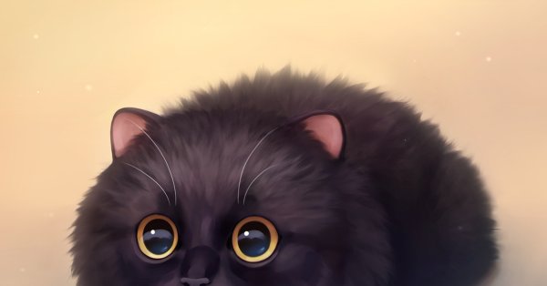 Мультяшные коты