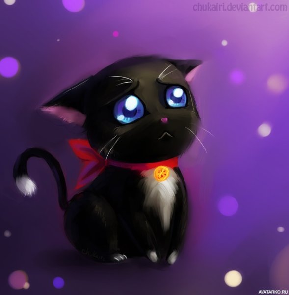 Черный котенок с большим глазами