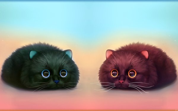 Котики арт света