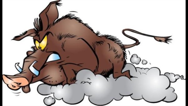 Дикий кабан карикатура