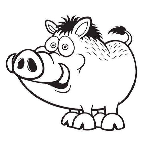 Кабан раскраска для детей