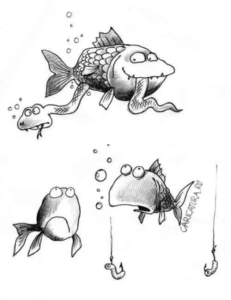 Рыба карикатура