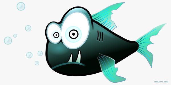 Смешные рыбы