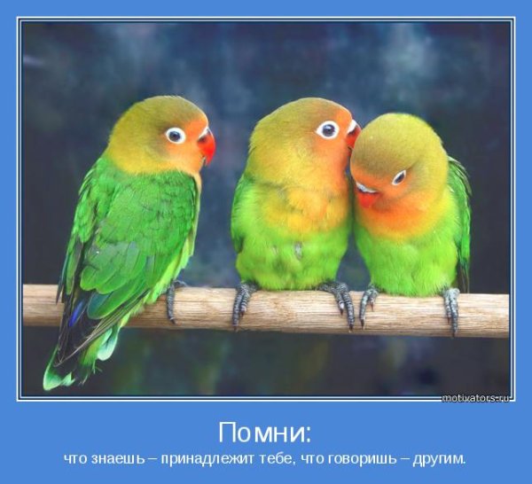 Где больше двух говорят вслух картинка