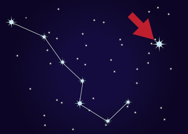 Созвездие ковш большой медведицы